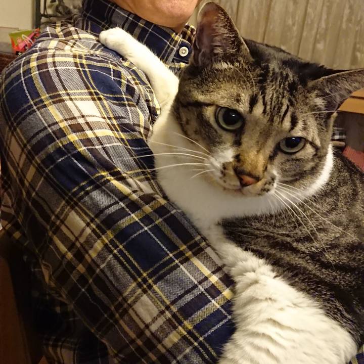 A58f42e9 d5a2 41e8 8c39 fb17b123c7cd 1541837345905