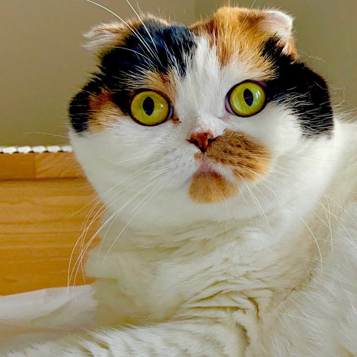 A58f4c63 9cb9 4ff8 9fe0 91401406af4b 1657232435361