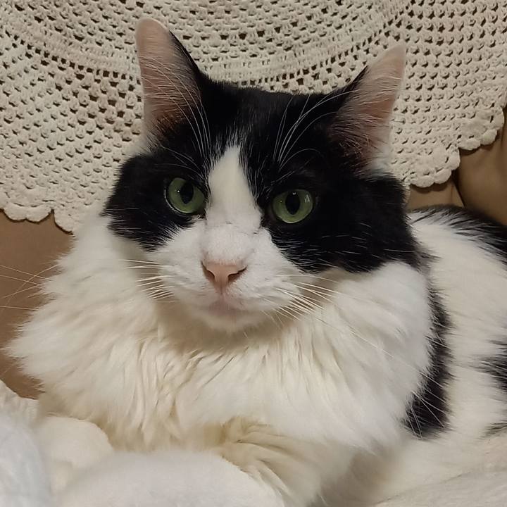 A58f8a74 6d64 4ba9 bf53 7b6107fbb347 1640815124577