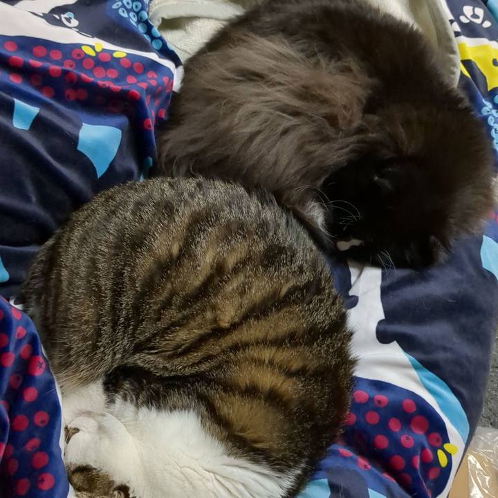 A58f90ae 6deb 4b37 97a4 02c188220710 1670062254977