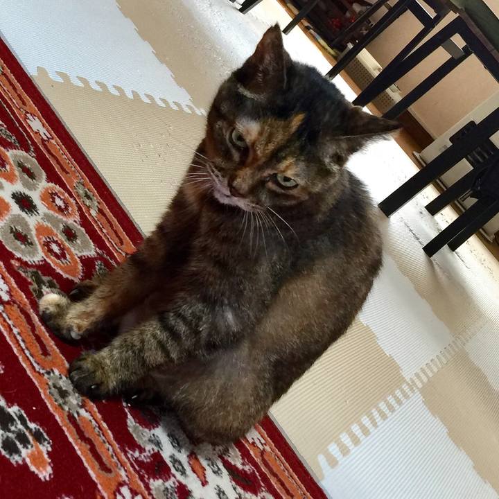 A58fb4bb 9afd 4681 a0c3 8d85b6d309a5 1615253190108