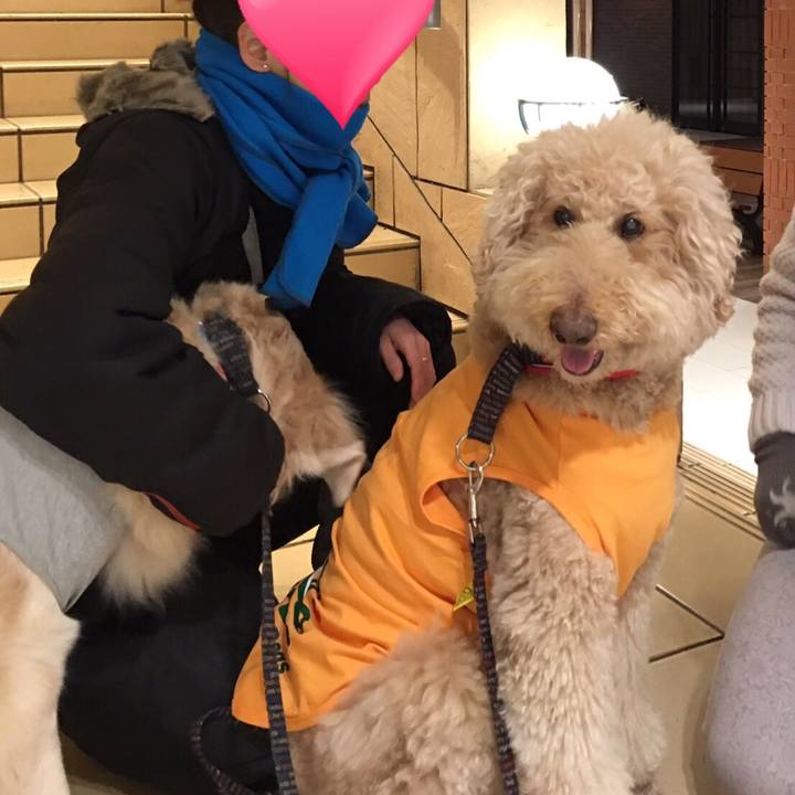 A58fbef7 184a 4ac5 8146 4a63a366d888 1516628059745