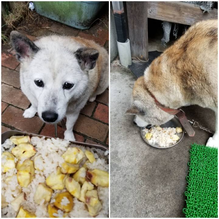 A58ff1e9 45c5 4df7 99ca 6a195f3673ab 1696826409685