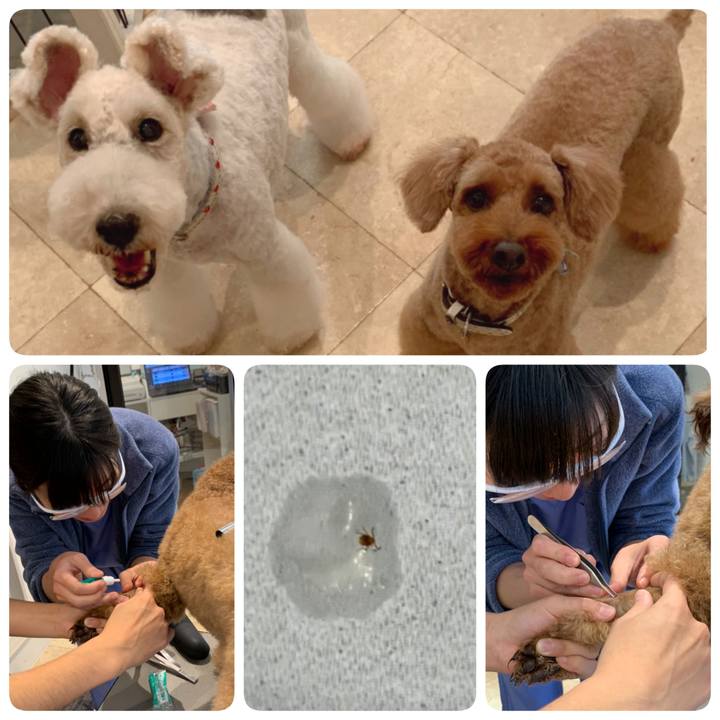 A5902cc6 339e 43d6 9437 f94ac1a24adf 1573888903318