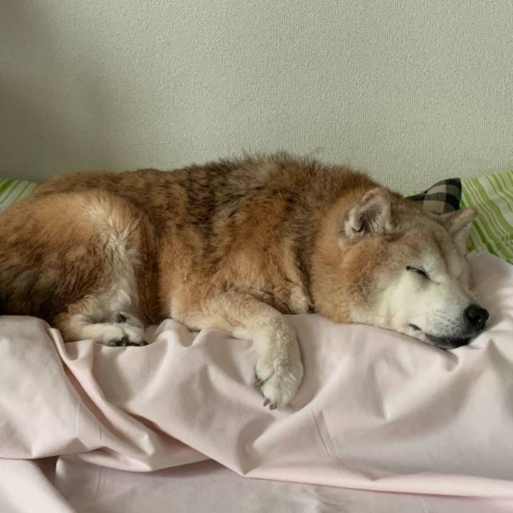 A5904761 c783 48a0 b66f b73217200cff 1685316760901