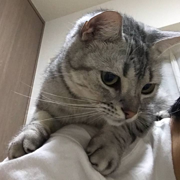 A590956e e4d3 4015 b0ec 0052332d8987 1533038684774