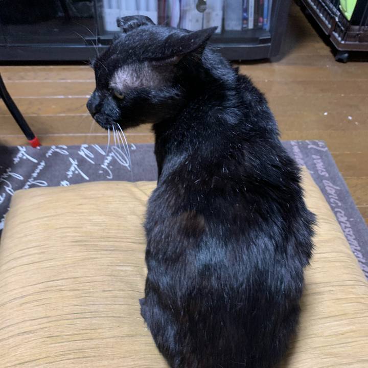 A590dbfd 2338 4dbc b632 42bf7a562437 1580906736297