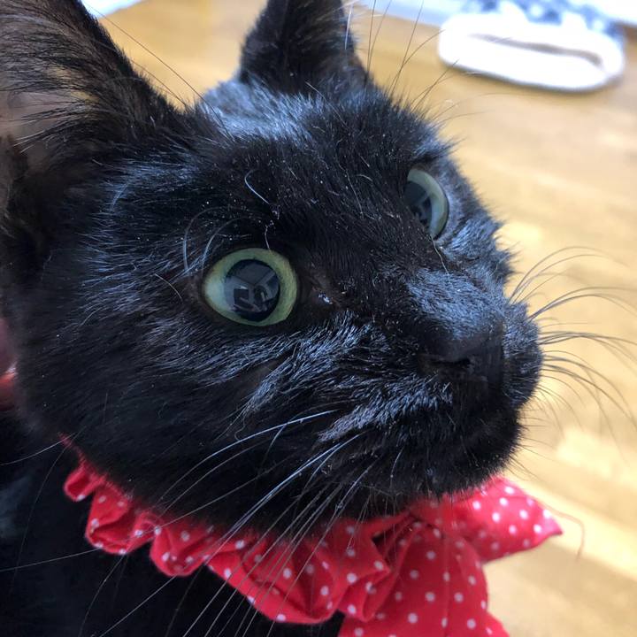 A590e65a 0e50 4685 bbfe d8bc6184e544 1557051360580