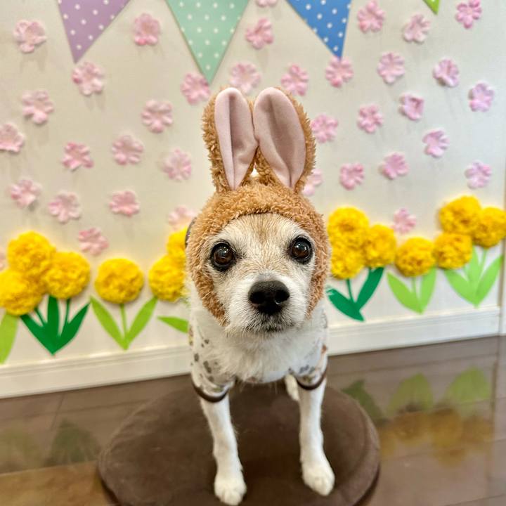 A590ff14 0642 40eb 96ff 80433d294d44 1711857652407