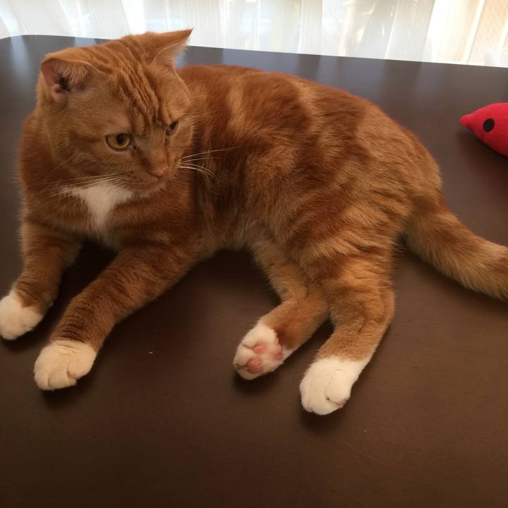 A5911dd1 b743 4403 a383 2dbd5ea96e85 1577140265173