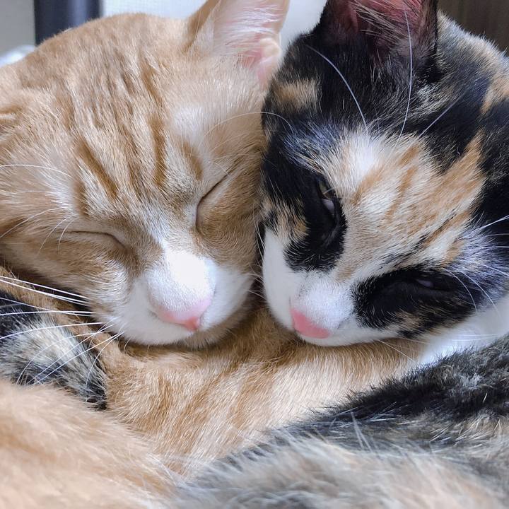 A591285d 6d9b 42a0 b34b 64b47ec85c3f 1567500578998