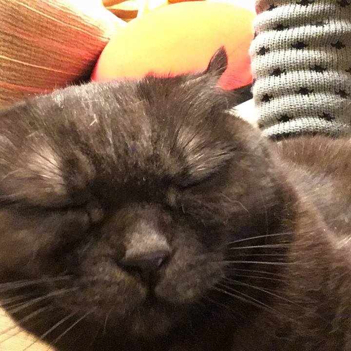 A5918006 e31e 46f8 bb91 ed14d019b365 1547228705359