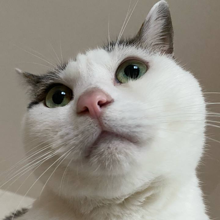 A591ae80 4697 45bb a2e4 c2b2b413d5ea 1769223796266