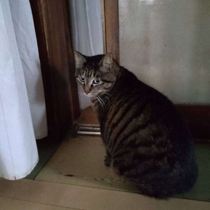 A591bd30 5adf 4988 acfb 6dc9d5145377 1680906644270