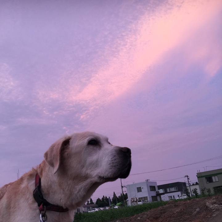 A591d806 3e6e 45c0 ade1 cddff4a01805 1595407018571