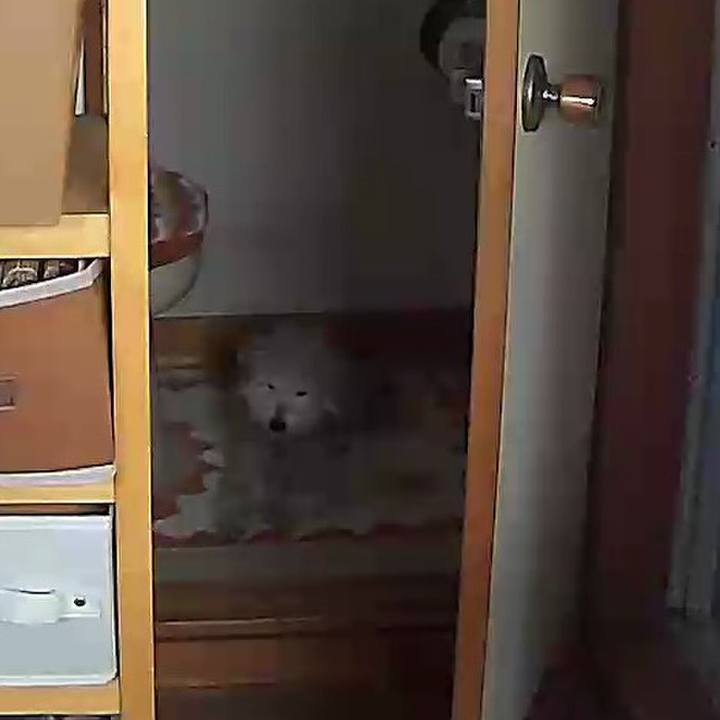 A5922dad 065a 4ced 89c7 da5d9b1d6592 1620546833220