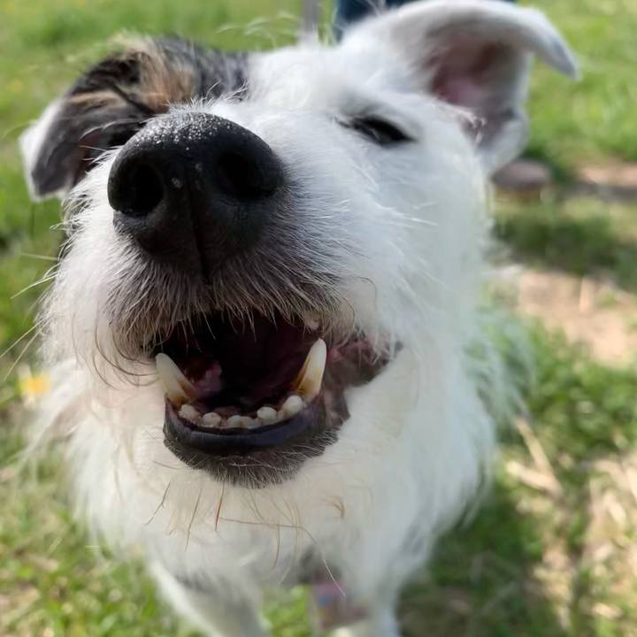 A5925b2e 7bc7 4d9e bb6c c1f926282a79 1649810912346