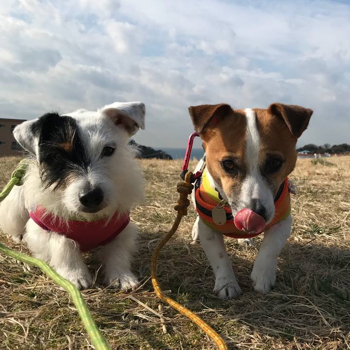 A59262d6 b9d5 40a9 bbb7 9f84269cbdae 1518747243043