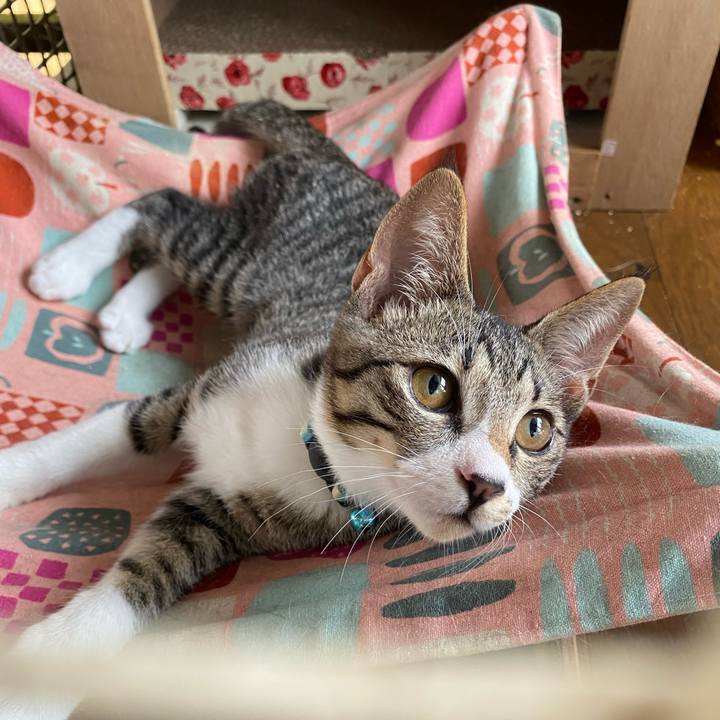 A5926789 58ad 480a a8b3 81ab40437565 1629681698697