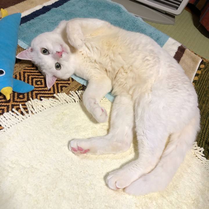 A5926d7a ccfd 4e9a a15a 6ed211355dcf 1607950113732