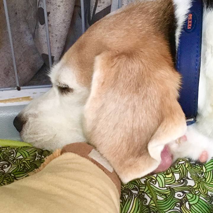 A5927e64 993a 4b31 b58e 7b5bfb3d8c50 1572234560010