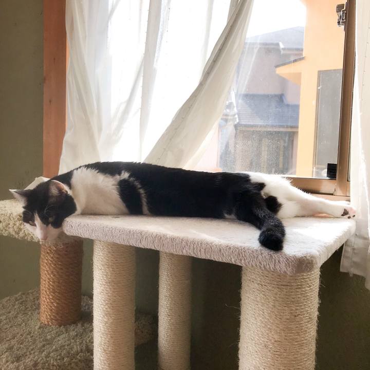 A5929ebf 30d9 439b 8a99 c94d9dcef5eb 1522631828365