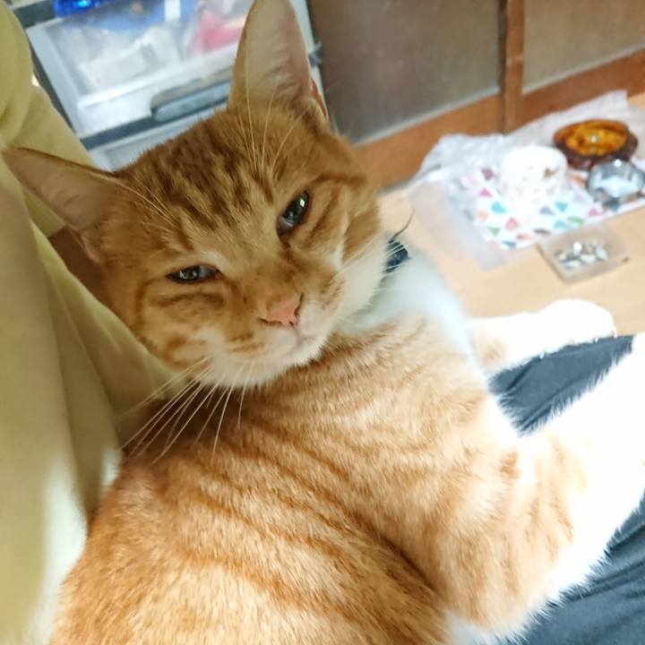 A592c378 2f69 46c9 8062 f5e18da97b19 1603446716747