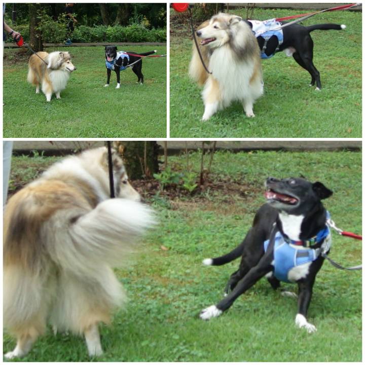 A592caa3 4d4c 43f2 aca4 1ac4968c4575 1691539315100