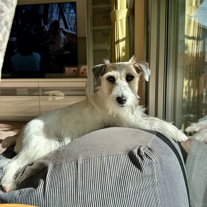 A592cb57 e5e1 406d 8abc 54adf506bda9 1702977105578