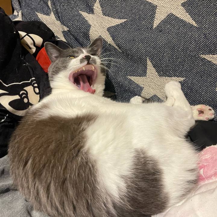 A59322bd 388a 476c 8c00 9ece1894151a 1650625523264