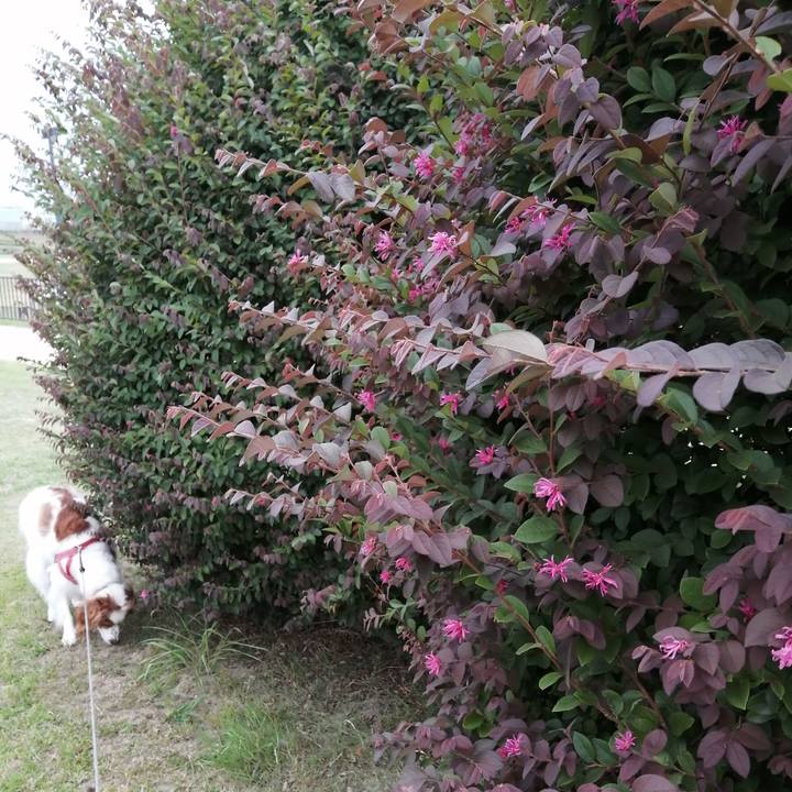 A5934c8d cb53 4cc4 aab6 4a08743ee705 1600851320130