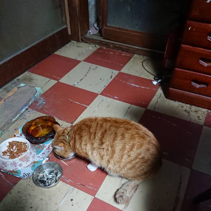 A5934ca6 732f 4ea6 a7c5 c19bbcfabeee 1579986298738