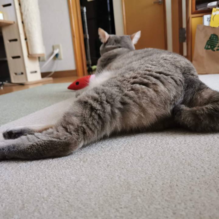 A5935ffd b3ea 448d af6d b1f7dd445a65 1616039281828