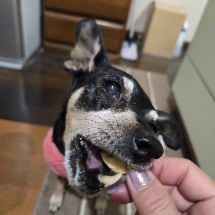 A59363a7 38e6 41e1 8851 1b044d58ef99 1761162008605