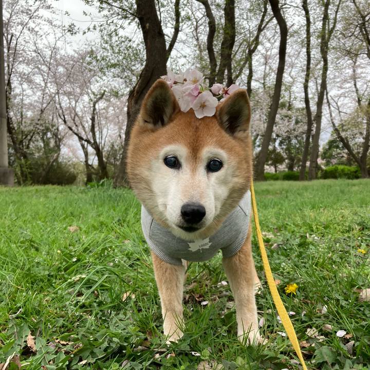 A59389d1 3bdc 4259 8d83 e084ab14fb5c 1775023626898