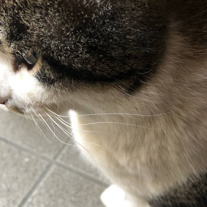 A5939d6f 7d27 40c6 a8d6 a7d987ab2796 1550136007689