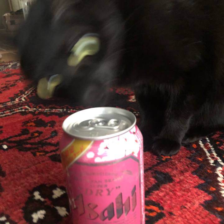 A593c9a1 09d9 4e2f a6a3 dcf54e0efb70 1584285670629