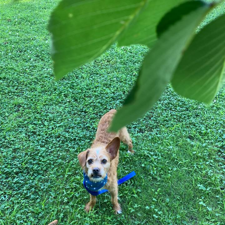 A5942e90 0c80 44ba 9a3a d98178afdba3 1626772759184