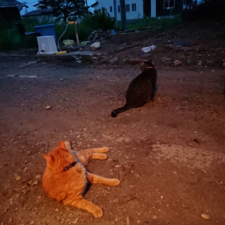 A59443b0 0f84 4b0f 89cf e10754dccd8e 1660212315280