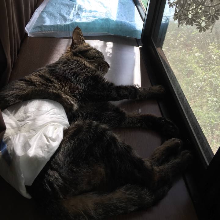 A59475dc 4485 40ec abf0 6869ff967553 1534809116857