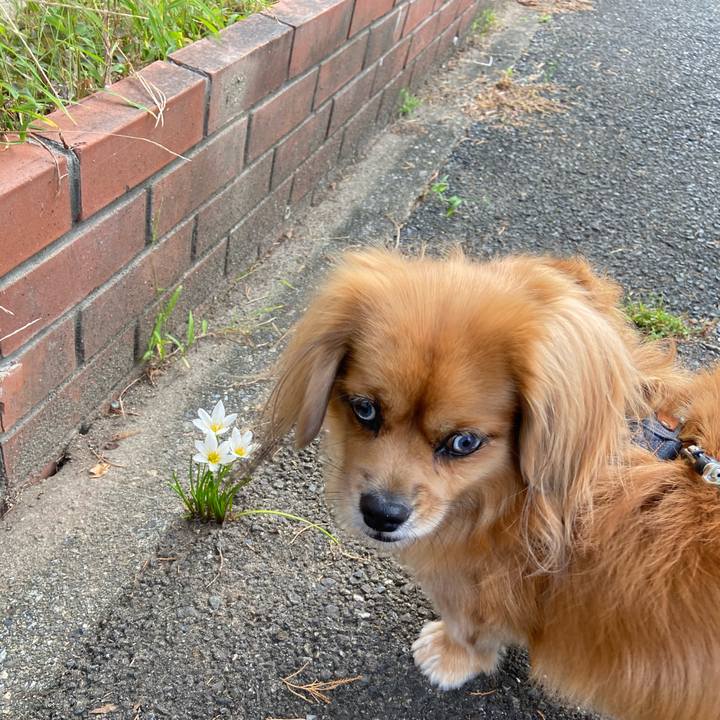 A594820f bbde 4774 9add 9a76bb351954 1601697478417