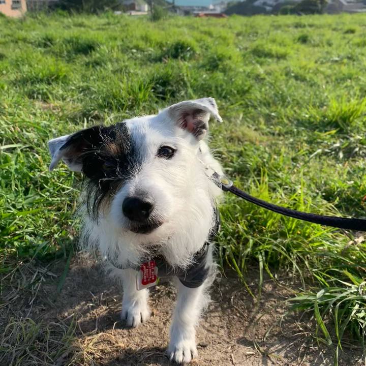 A5949697 4424 4290 87b8 2f3759e4e89f 1682668040728