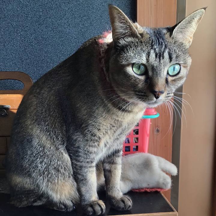 A5954f4f 39d6 435c a2e6 7c1da0324500 1636675359113