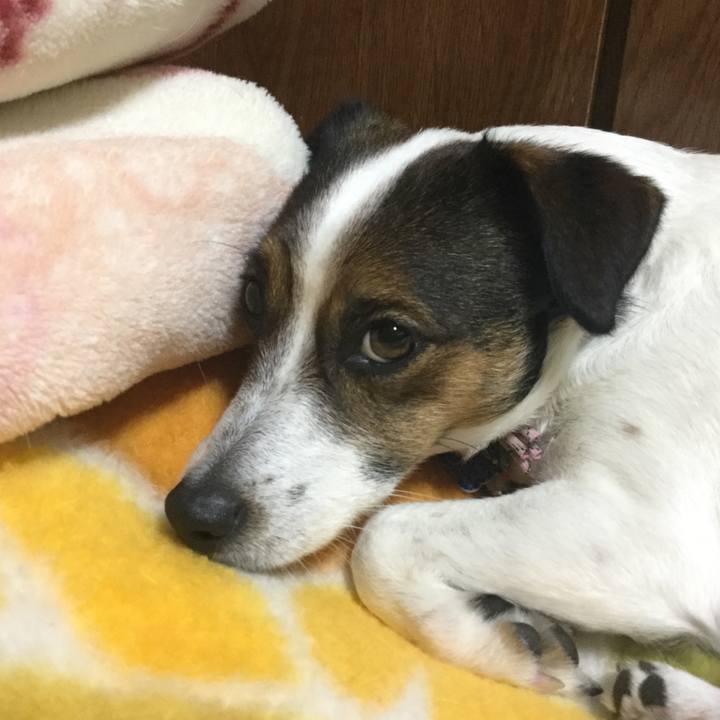 A595535c 2e69 46fd 8818 5a444b5d318c 1549363637761