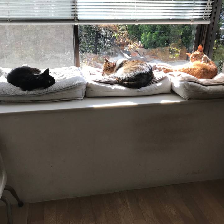 A59579f8 3432 44fb a58a 85fea5e26325 1516259176308