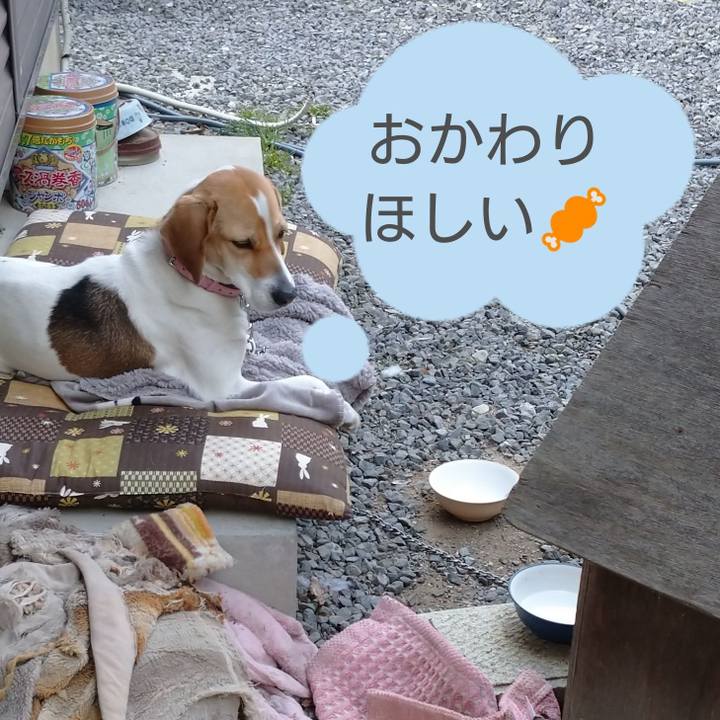 A5958098 7890 46a3 9799 a16696d50981 1584603062660