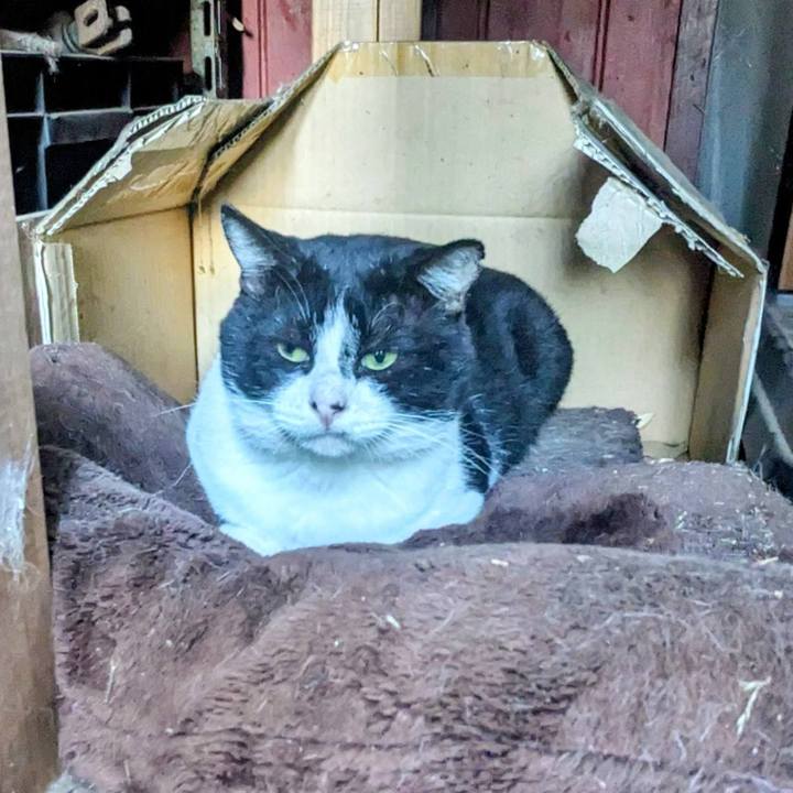 A59583a5 0734 43e0 81e0 7471d1d8cf7b 1761864790024