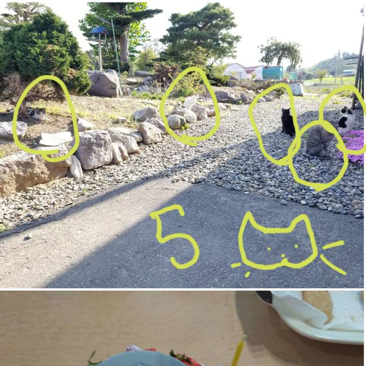 A59595a9 368e 43de a466 ded327c4f457 1653063283084