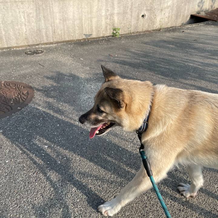 A595a521 d2c7 4714 81be 5ad421bd5a2b 1690460259383