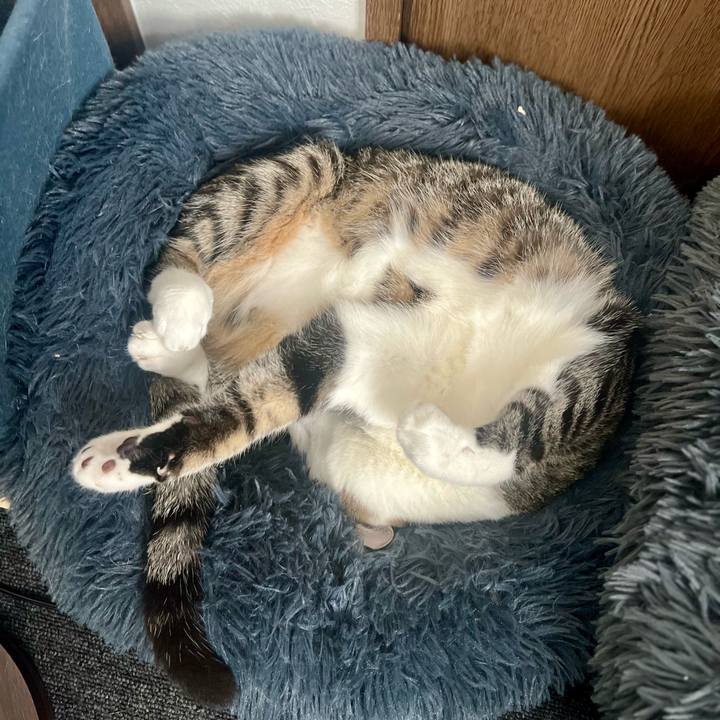 A595be4e 55c4 4d1b 8e37 faa681b4fd4b 1759501715928